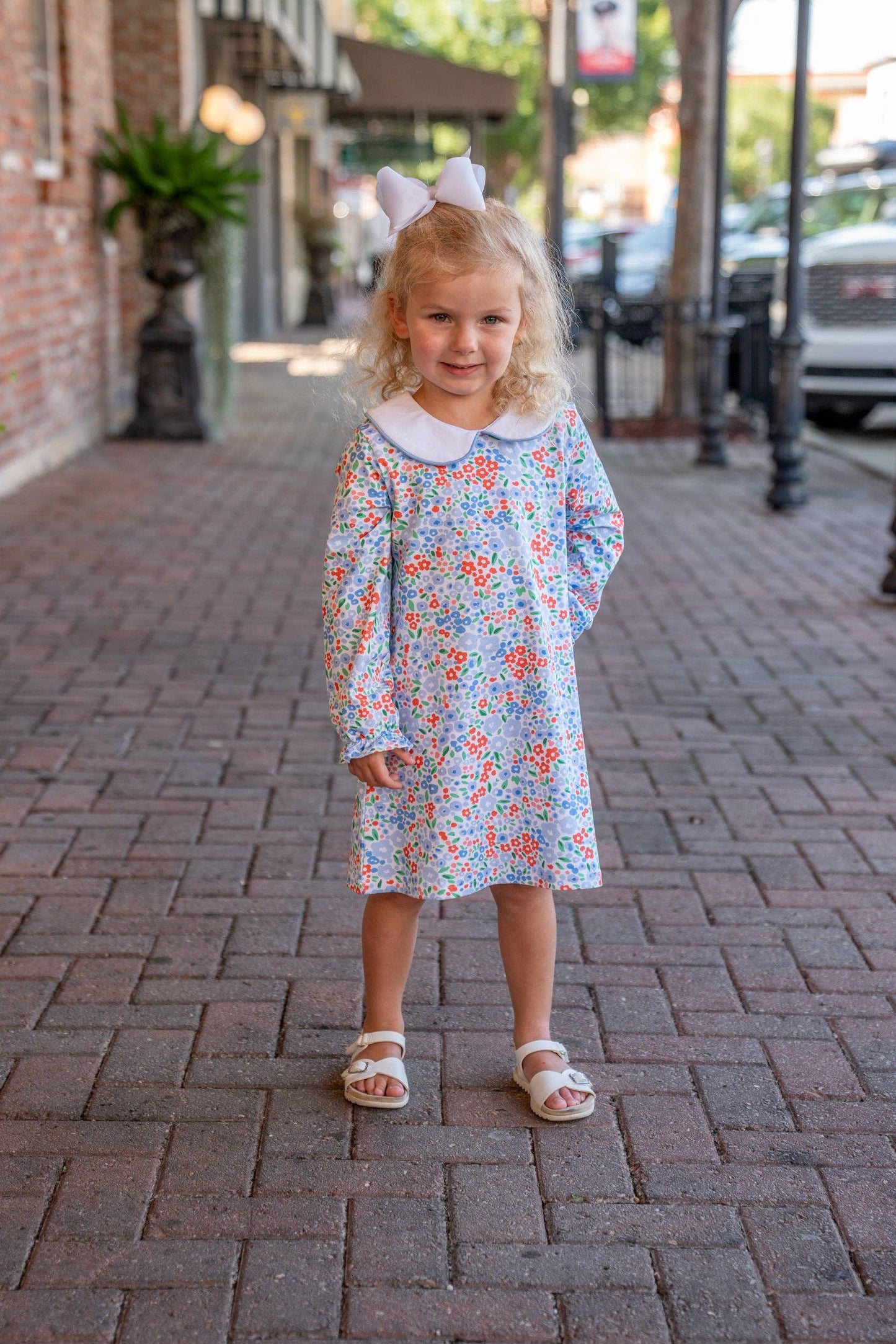 The Oaks Blue Red Floral Dress