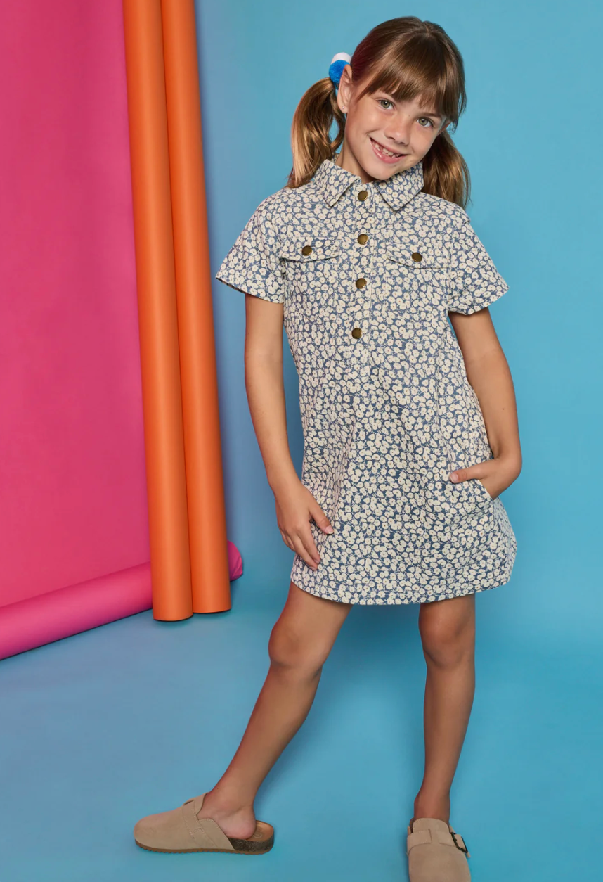 Safari Blue Corduroy Dress