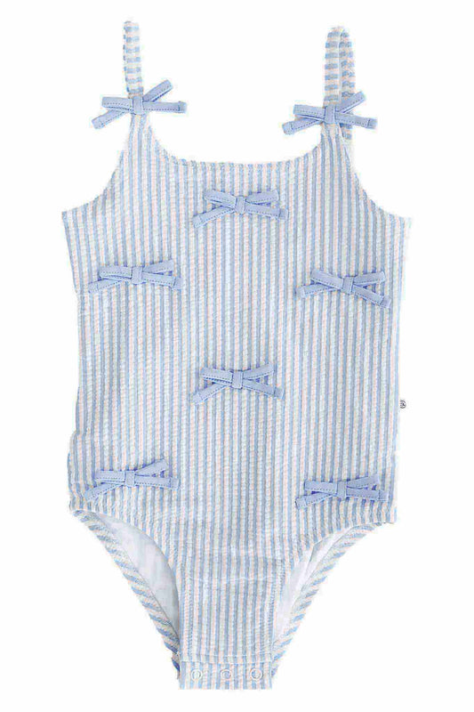 Seersucker Blue One Piece