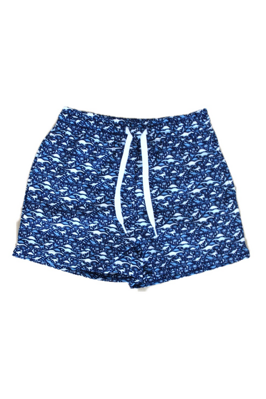 The Jurassics Swim Shorts