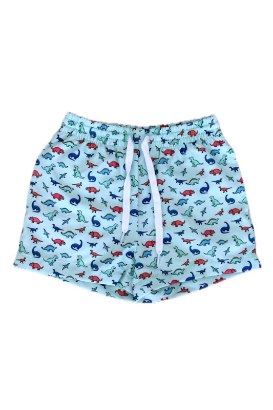 The Dinos Swim Shorts