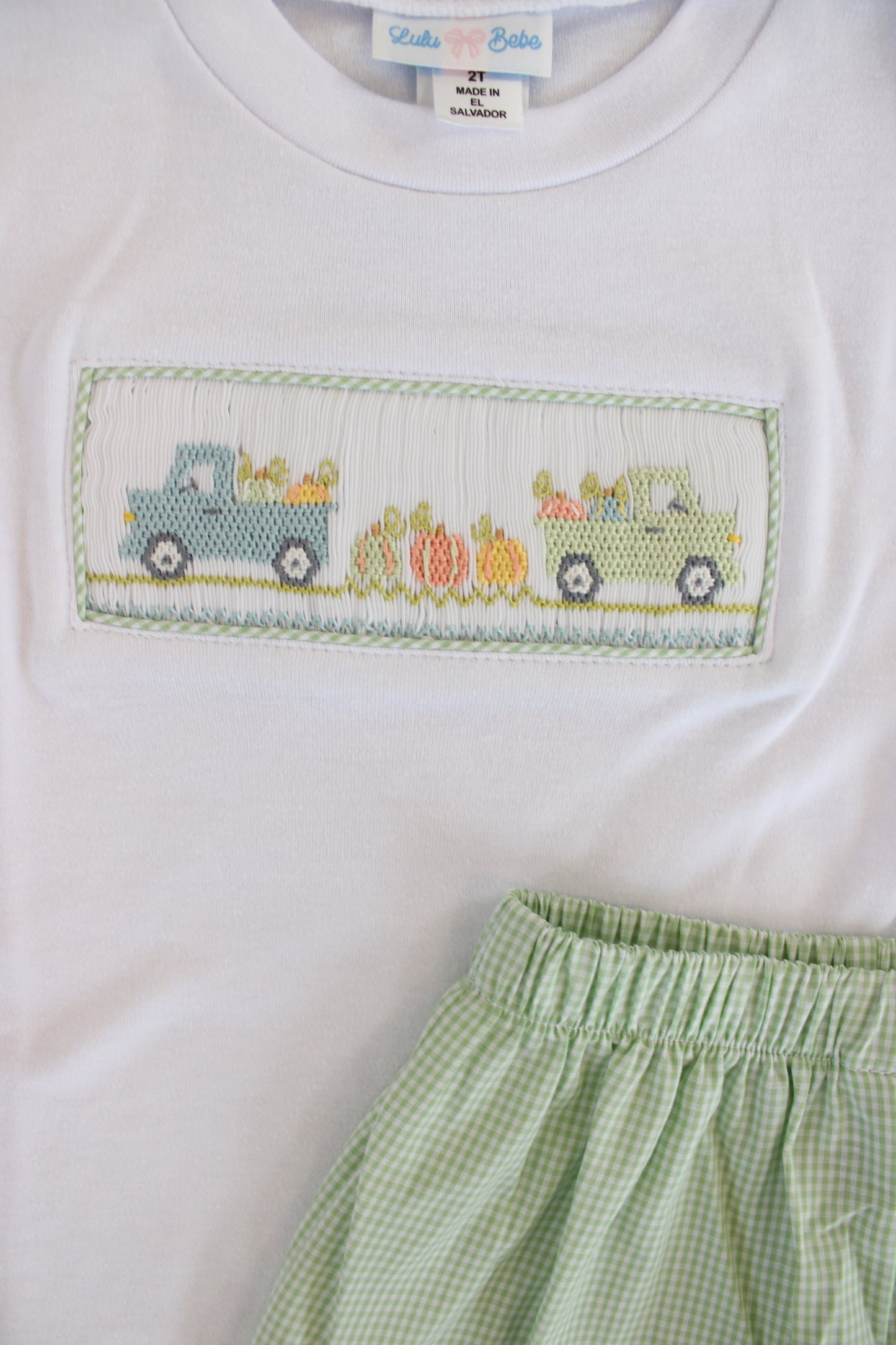 Sage Pumpkin Smocked Sort Set