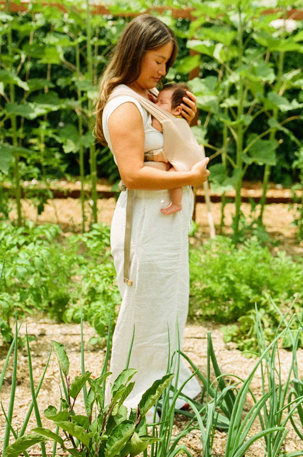 Desert Lark - Aerial Buckle Wrap