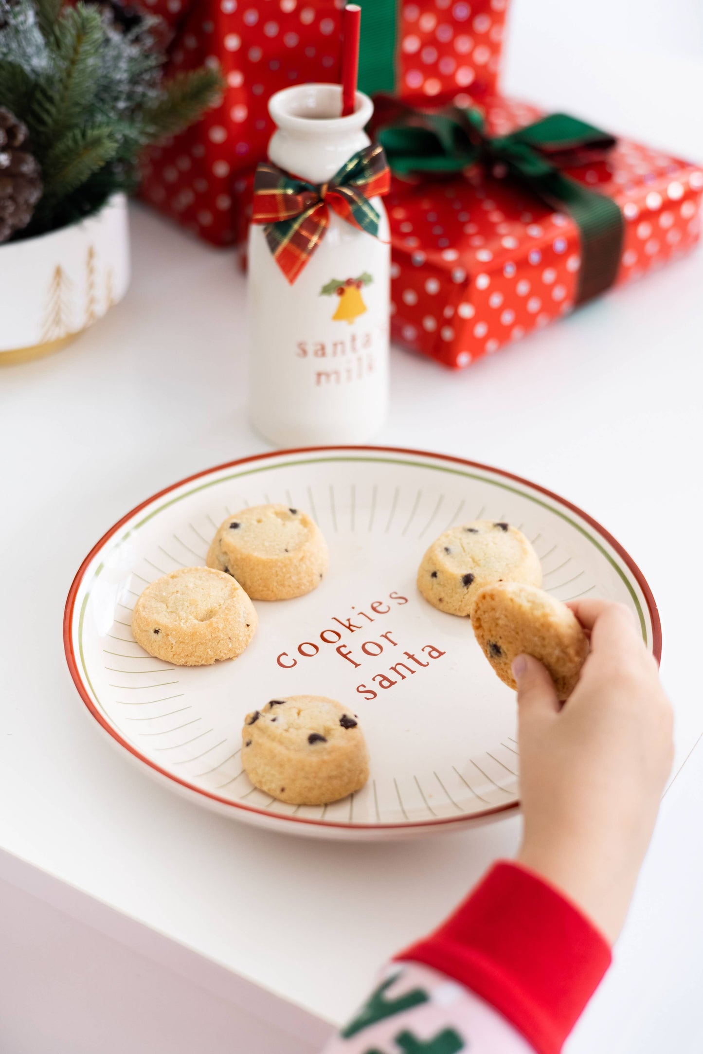Santa Christmas Cookie Plate & Milk Jug