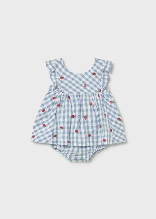 Berry Gingham Sun Dress