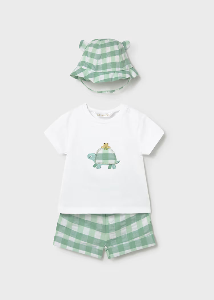 Green Turtle Short Set