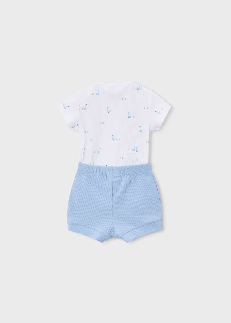 Wht/Bl Geese Short Set